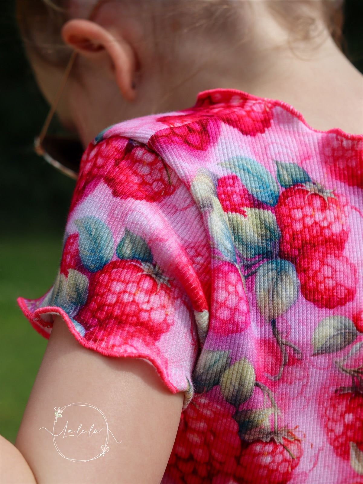 Himbeeren Neue Vorbestellung